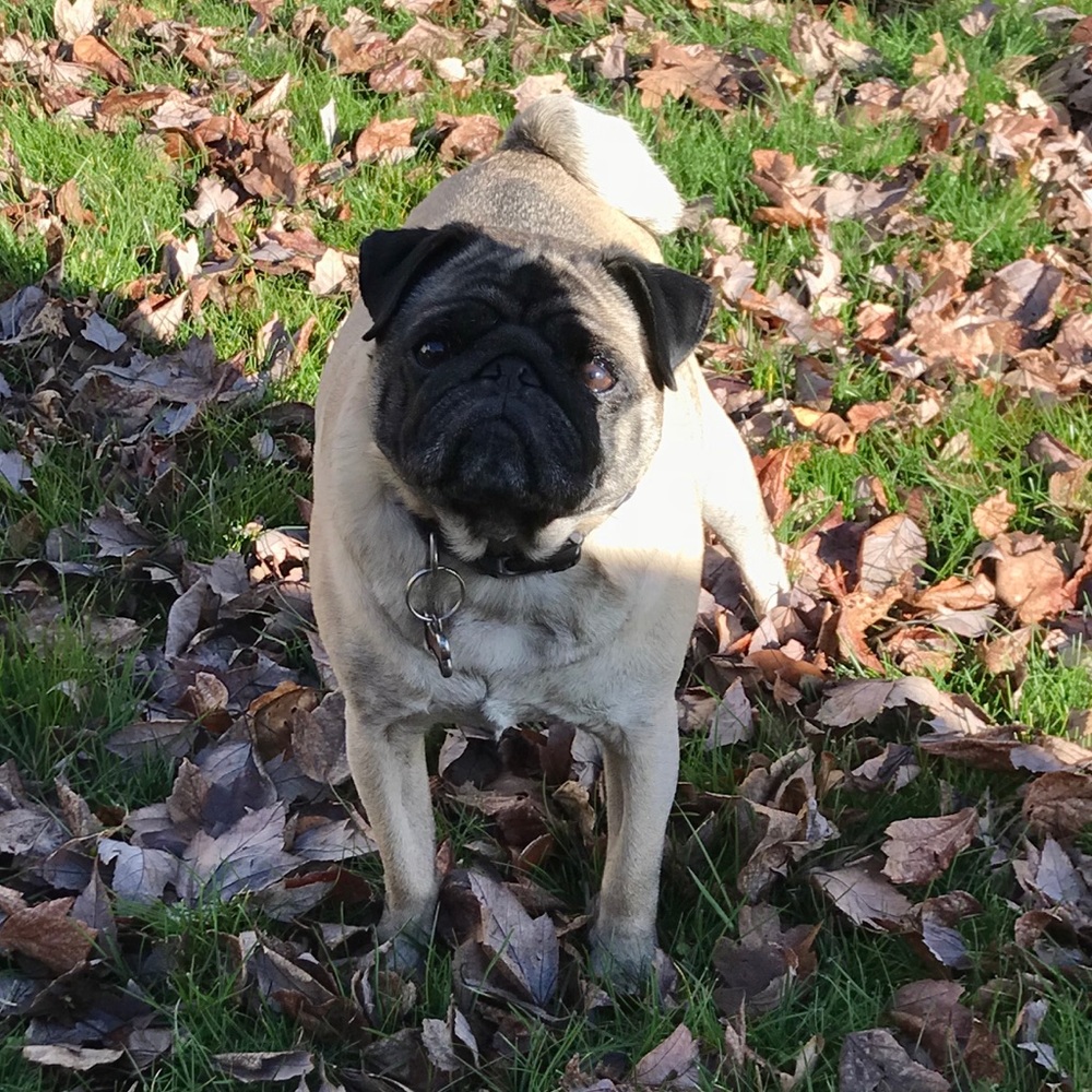 Meet your Posher, Kandi